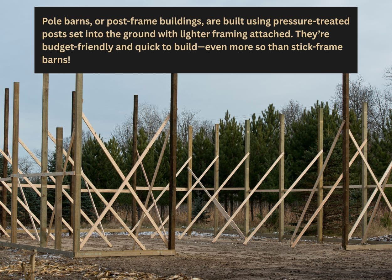Timber frame structure under construction with vertical posts and bracing.